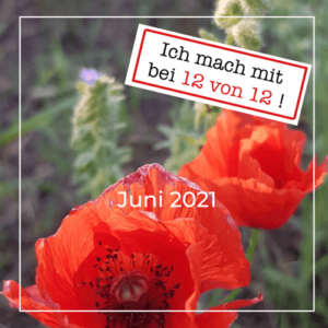 Read more about the article 12 von 12: mein Tag in Bildern (12. Juni 2021)