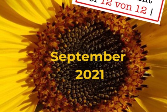 12 von 12: Mein Tag in Bildern (12. September 2021)