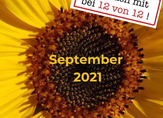12 von 12: Mein Tag in Bildern (12. September 2021)