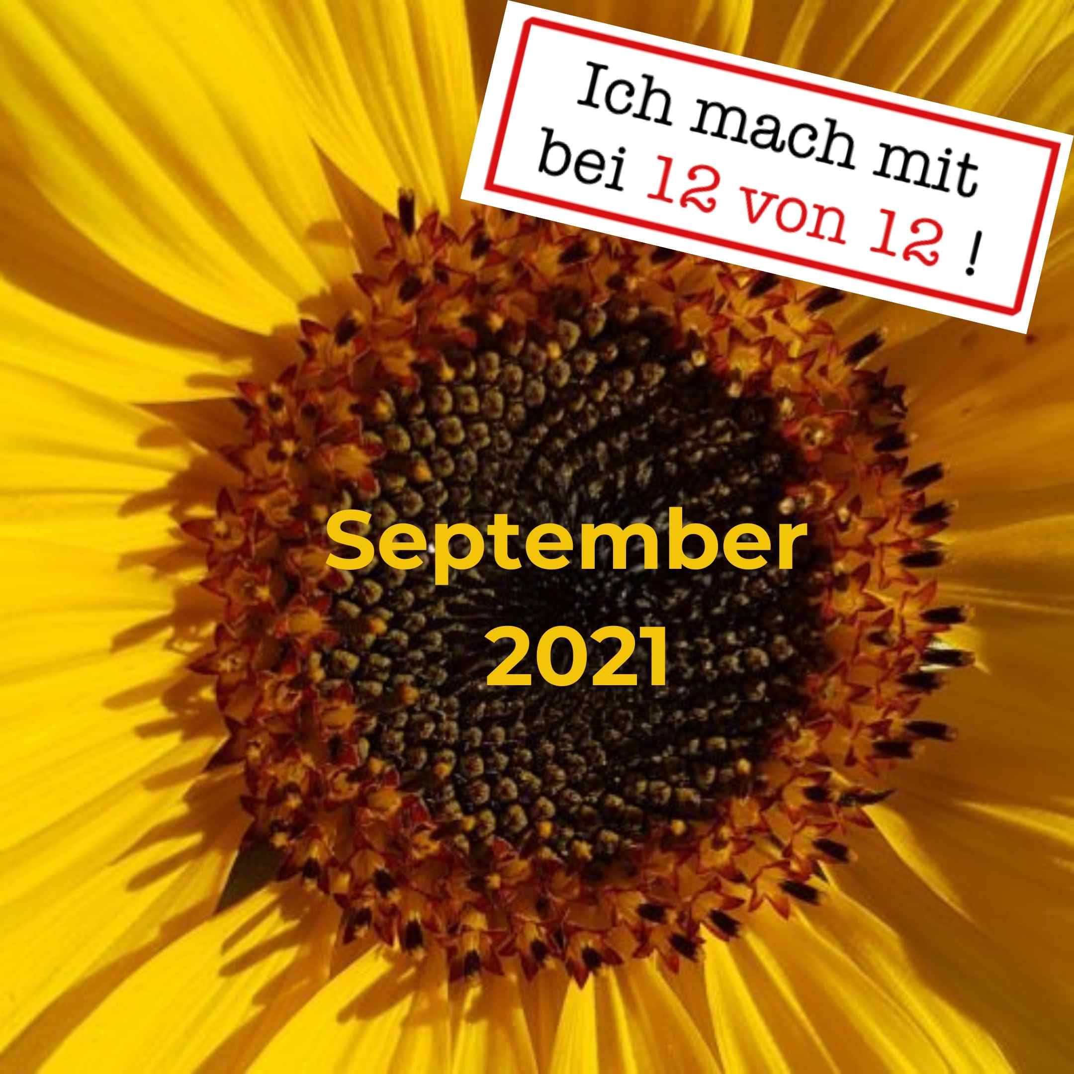 You are currently viewing 12 von 12: Mein Tag in Bildern (12. September 2021)