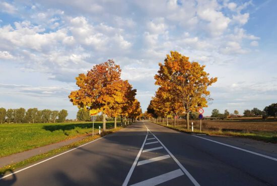 Mein Monatsrückblick Oktober 2021: Aus der Fülle schöpfen