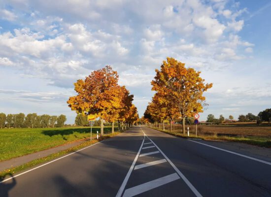 Mein Monatsrückblick Oktober 2021: Aus der Fülle schöpfen