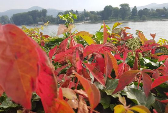 Mein Monatsrückblick September 2021: in Bewegung