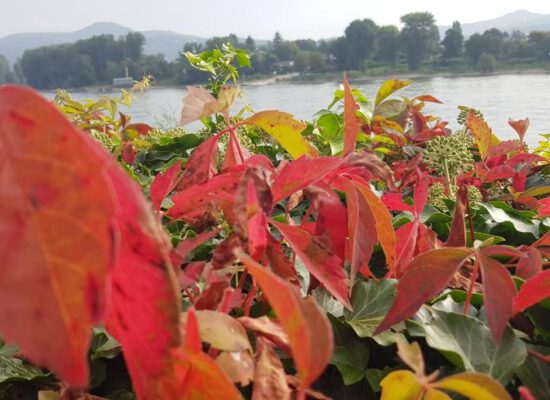 Mein Monatsrückblick September 2021: in Bewegung