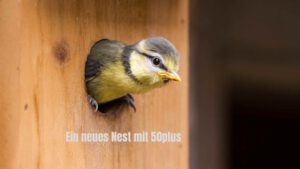 Read more about the article Ein neues Nest fürs Alter: warum der Neubau mit 50plus für uns eine gute Entscheidung war
