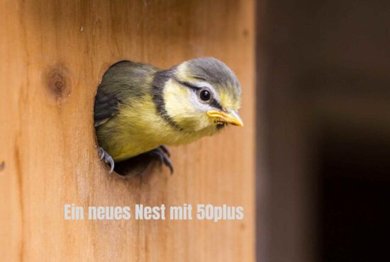 Ein neues Nest fürs Alter: warum der Neubau mit 50plus für uns eine gute Entscheidung war