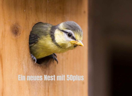 Ein neues Nest fürs Alter: warum der Neubau mit 50plus für uns eine gute Entscheidung war