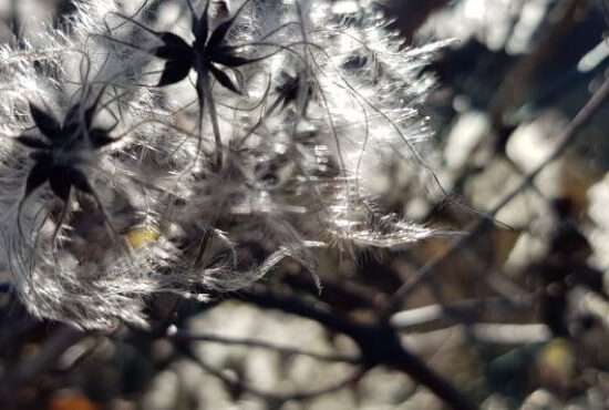 Mein Monatsrückblick November 2021: Neues lernen und ausprobieren