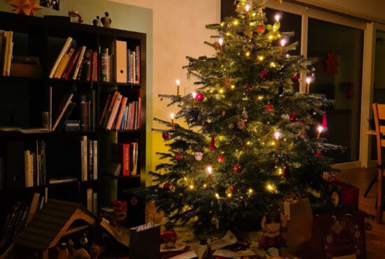 Mein Monatsrückblick Dezember 2021: und schwupps steht das neue Jahr vor der Tür