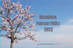Read more about the article Monatsrückblick Februar/März 2022: intensive Zeiten