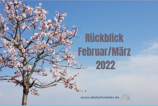 Monatsrückblick Februar/März 2022: intensive Zeiten