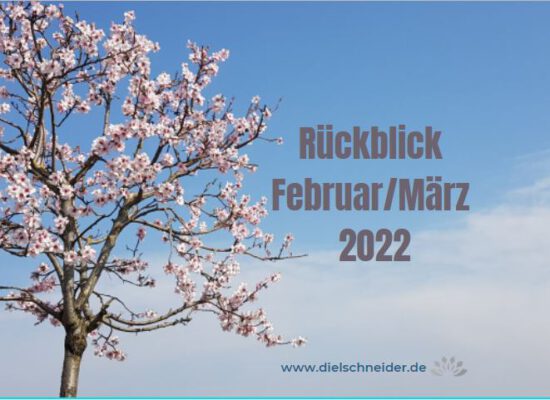 Monatsrückblick Februar/März 2022: intensive Zeiten