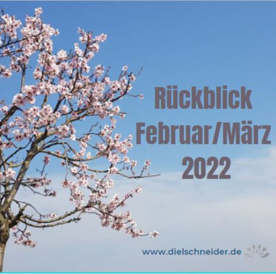Monatsrückblick Februar/März 2022: intensive Zeiten
