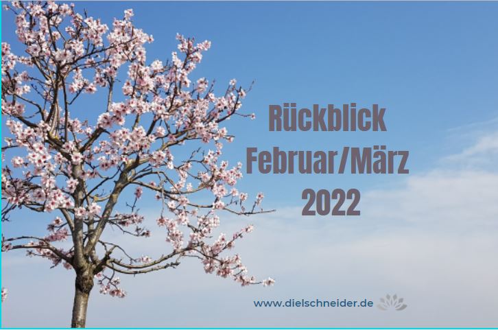 You are currently viewing Monatsrückblick Februar/März 2022: intensive Zeiten