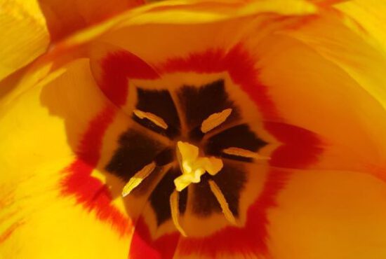 Monatsrückblick April 2022: Intensiv und bunt