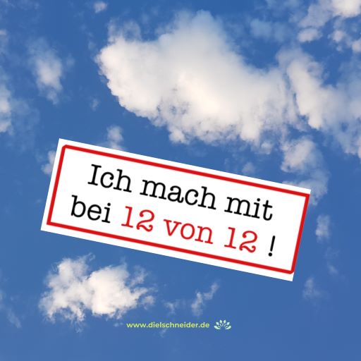 You are currently viewing 12von12: Mein Tag in Bildern (12. Juni 2022)