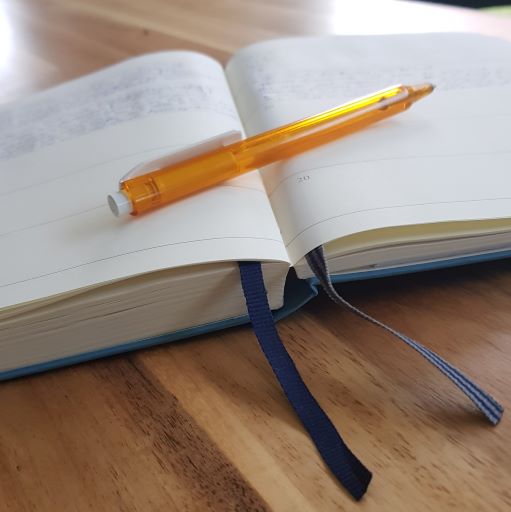 Tagebuch mit Kugelschreiber