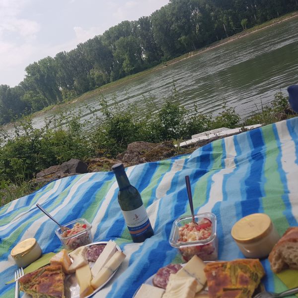 Picknick auf Decke - der Rhein im Hintergrund