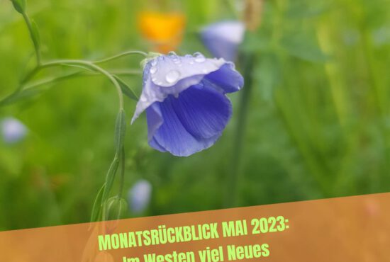 Mai 2023 Rückblick: Im Westen viel Neues