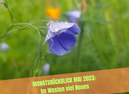 Mai 2023 Rückblick: Im Westen viel Neues