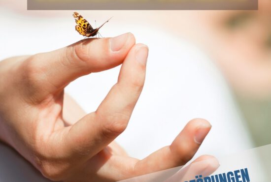 Der Umgang mit Störungen