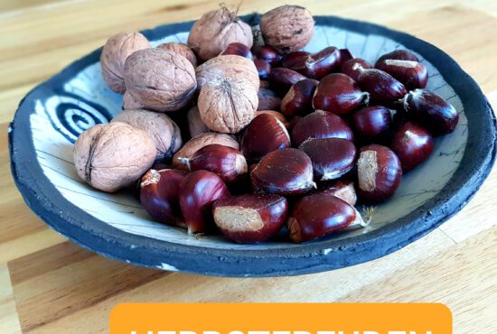 August-September 2023 Rückblick: Übergang ins letzte Jahresdrittel