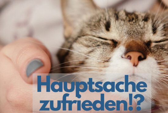 Hauptsache zufrieden!? – Aufruf zur Blogparade
