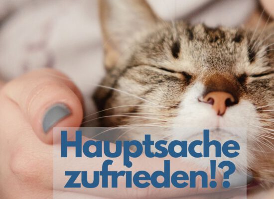 Hauptsache zufrieden!? – Aufruf zur Blogparade