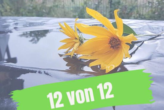 12VON12: SEPTEMBER 2024