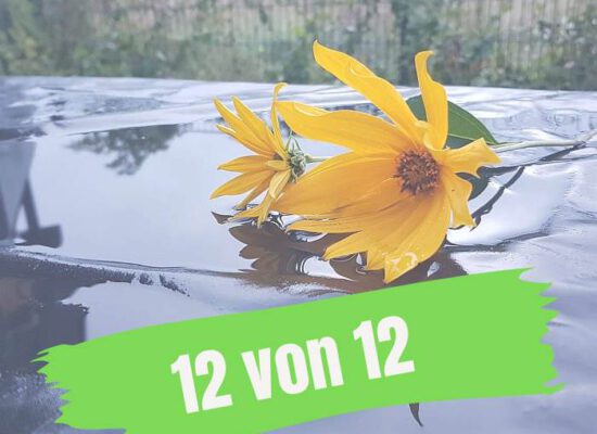 12VON12: SEPTEMBER 2024