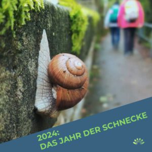 Mehr über den Artikel erfahren Jahresrückblick 2024: Das Jahr der Schnecke