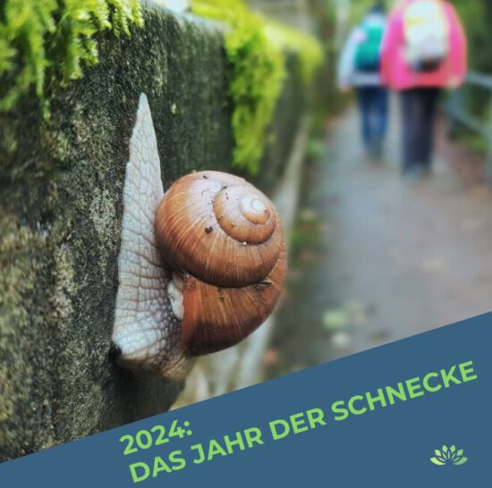 Jahresrückblick 2024: Das Jahr der Schnecke