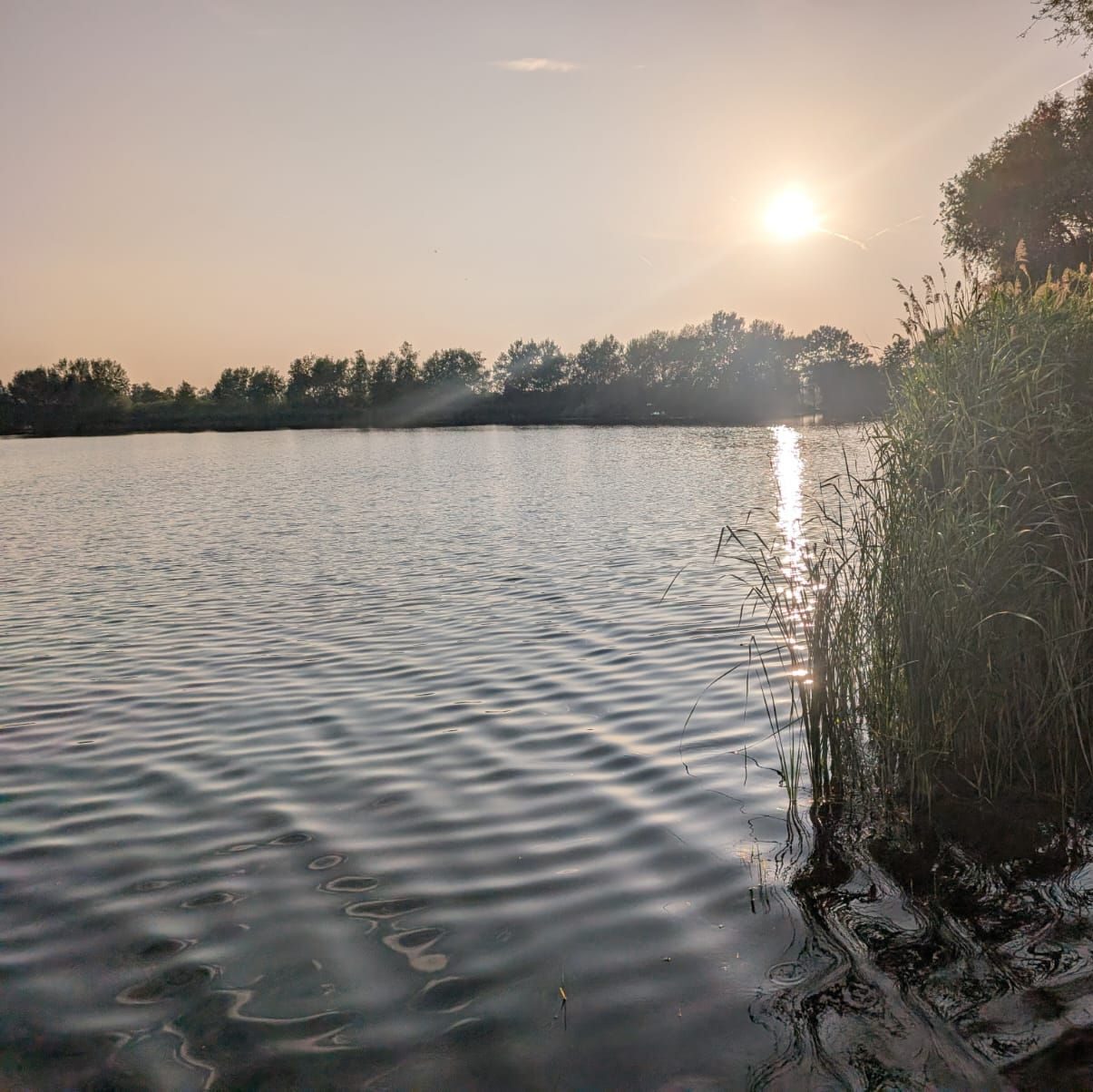 Sonnenuntergang am Erlichsee