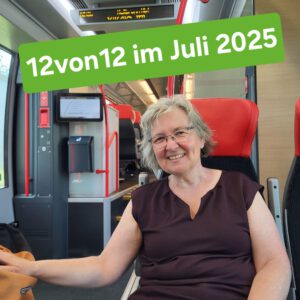 Mehr über den Artikel erfahren 12VON12: JULI 2025