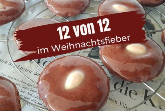 12VON12: DEZEMBER 2025