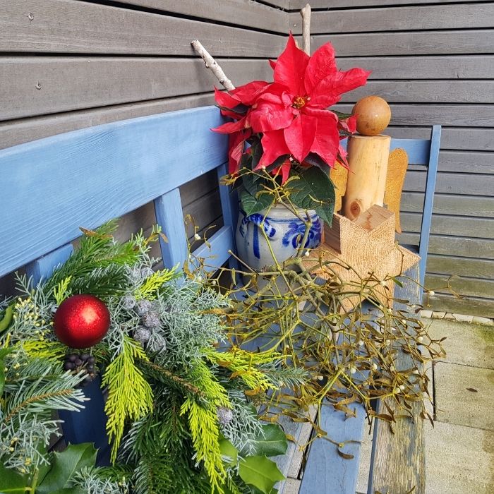 Weihnachtliche Blumenarrangement auf blauer Bank