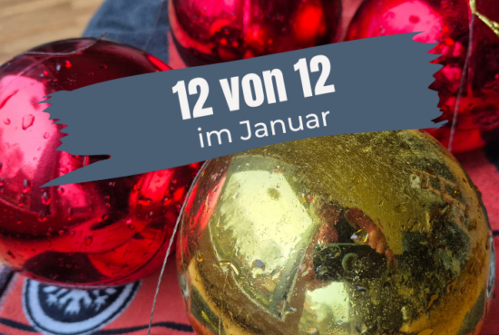 12VON12: JANUAR 2026