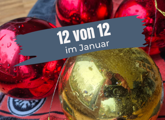 12VON12: JANUAR 2026