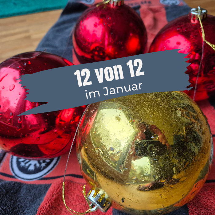 Du betrachtest gerade 12VON12: JANUAR 2026