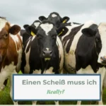 Einen Scheiß muss ich – really?