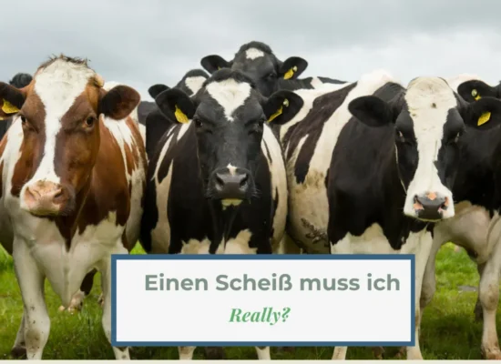Einen Scheiß muss ich – really?